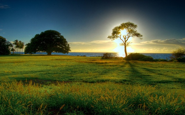 [spring_wallpaper_1[3].jpg]