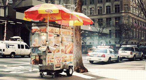 [jamie-beck-23[3].gif]