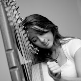 Sligo Live 2007 Festival