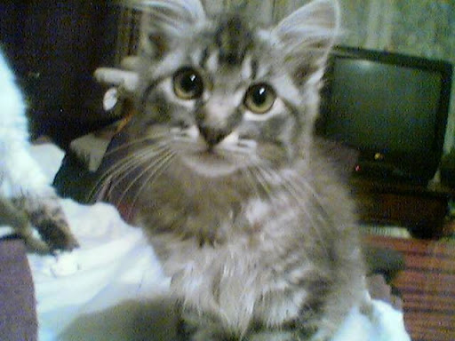 Зображення