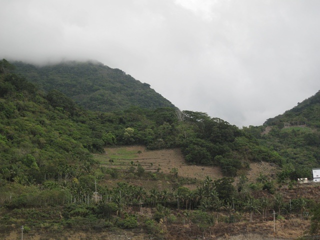 [IMG_41442.jpg]