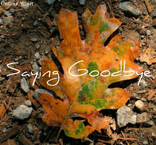 saying
