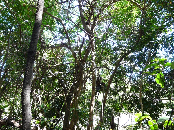 P1130962