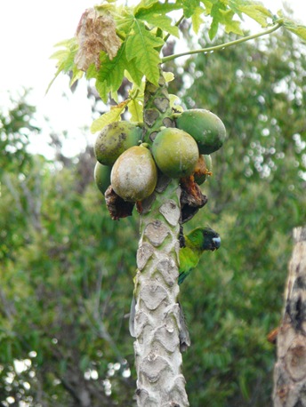 P1140034
