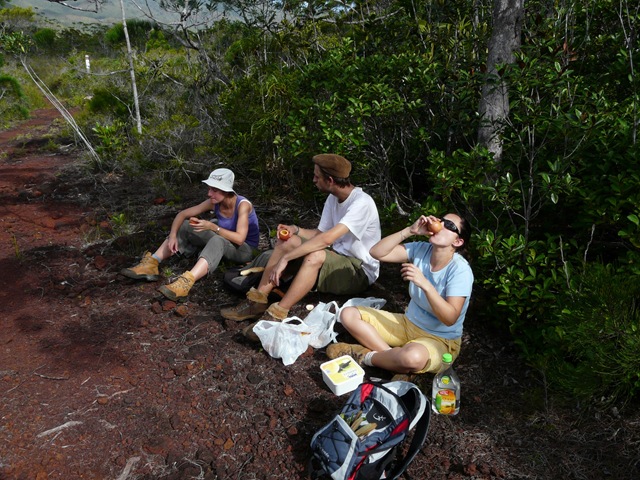 [P1110741[4].jpg]