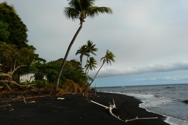 [P11208114.jpg]
