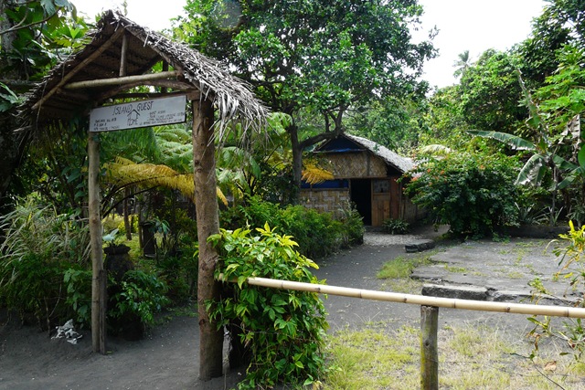 [P11208864.jpg]