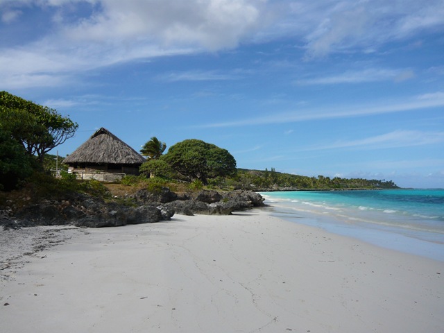 [P10205744.jpg]