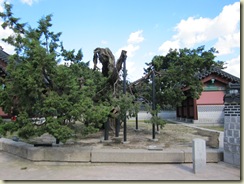 IMG_1801 IMG_1801