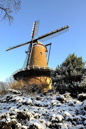 Afbeelding