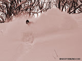 Paul plowing
