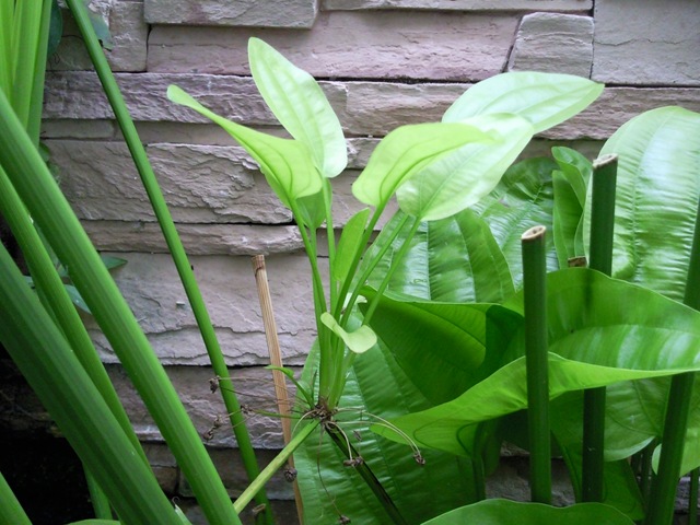[Photo00372.jpg]