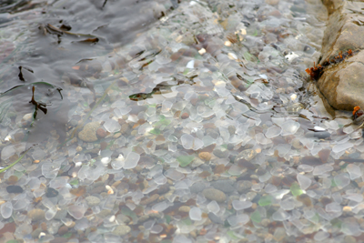 Sea Glass. Natural tumbling. The world as a sea glass tumbler