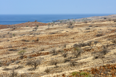 North Kohala Coast, Hawaii North Kohala Coast, Hawaii