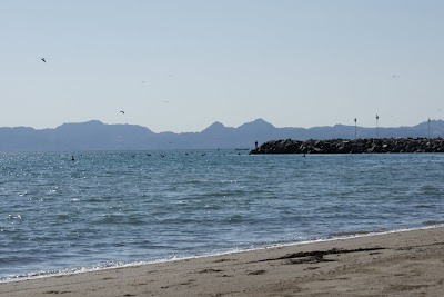 Pelicans diving into Sea of Cortez, frigate and seagulls circling and the jagged landscape