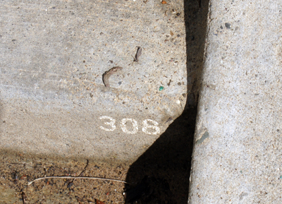 The 308th and final stair on the way down to Point Reyes Lighthouse