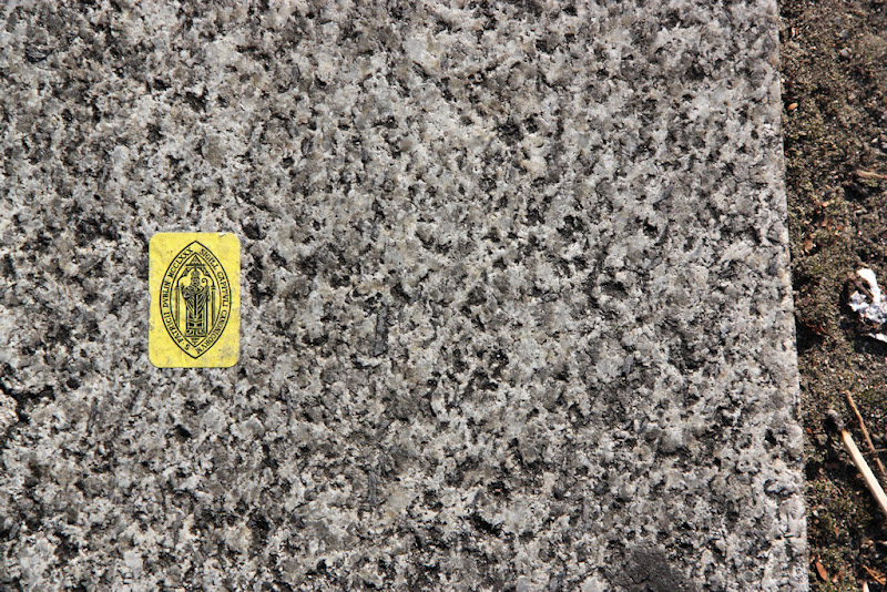 IMAGE: http://lh5.ggpht.com/_inmLrW6E6Gk/TOYUt3-7_UI/AAAAAAAABZM/P83lt7syBck/s800/2010_10_20_172%20Em.jpg