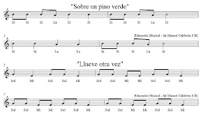 Sobre un pino verde y llueve otra vez subir imagen.jpg