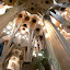 Interior of Sagrada Família modeled after trees and branches