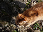 P1000955.JPG