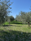 P1000806.JPG