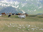 Campo Imperatore
