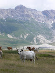 Campo Imperatore