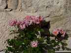 P1020210.JPG
