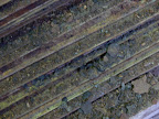 These sheets carry the rubber inside the autoclaves. Sulfur and heat attacks the iron and produce flakes of rust all over.