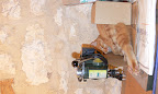 Werkstattkatze Luca...