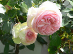 P1090043.JPG