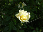 P1090065.JPG