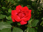 P1090076.JPG