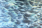 Wasserspiegelung grün, olio su tela, 80x120 cm 2008