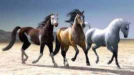 two kings and a queen Millennium Horse textures