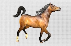 5595515 Millennium Horse textures