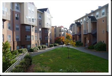 The view of blocks of apartments from my dorm.
