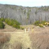 Landfill Gas Vent
