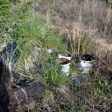 Possible environmental concerns noted during a Phase I EA Possible environmental concerns noted during a Phase I EA