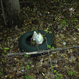Possible environmental concerns noted during a Phase I EA