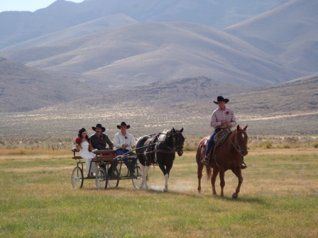 I went to a cowboy wedding this weekend It wasn't one of those fancy theme