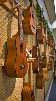 The Different Types of Ukuleles - playing the ukulele There are different types of ukuleles.