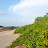 DSC_0327_02.jpg DSC_0327_02.jpg