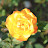 DSC_0538.JPG