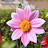 DSC_0579.JPG