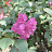 DSC_0499.jpg DSC_0499.jpg