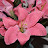 DSC_0212.jpg DSC_0212.jpg