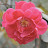 DSC_0318.jpg DSC_0318.jpg