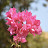 DSC_0502.jpg DSC_0502.jpg