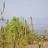 DSC_0098.JPG